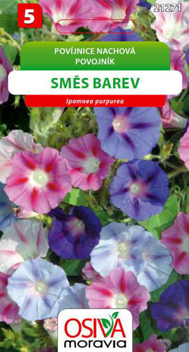 Obrázek z Povíjnice nachová směs barev 3g 